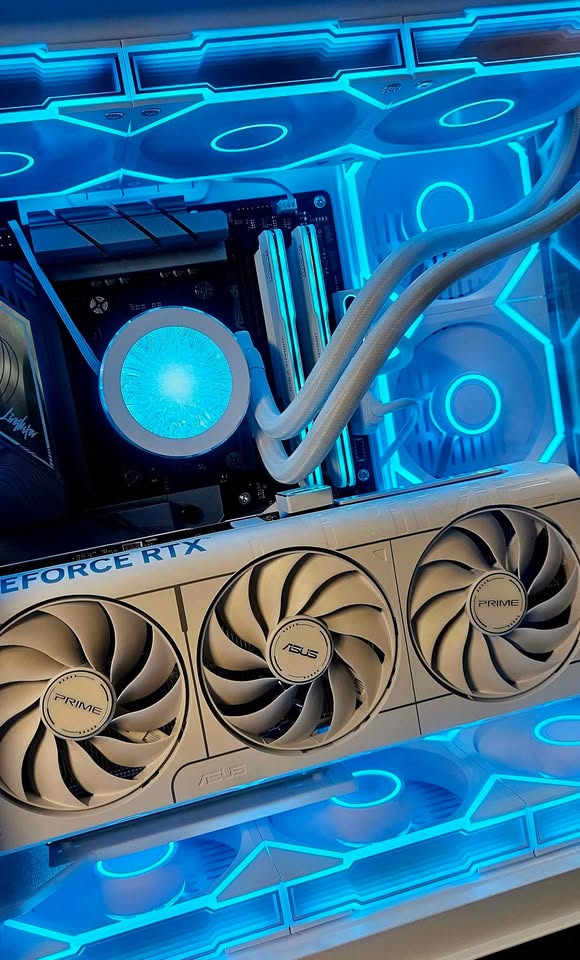 Frost Veil | One-of-a-Kind Hand-Built System